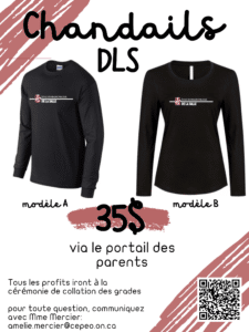 DLS-chandails-225x300.png