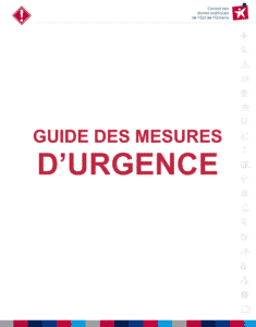 Mesures-durgence-235x300-1.png